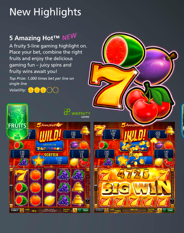NOVOMATIC 官方型錄中的 5 Amazing Hot 作品畫面