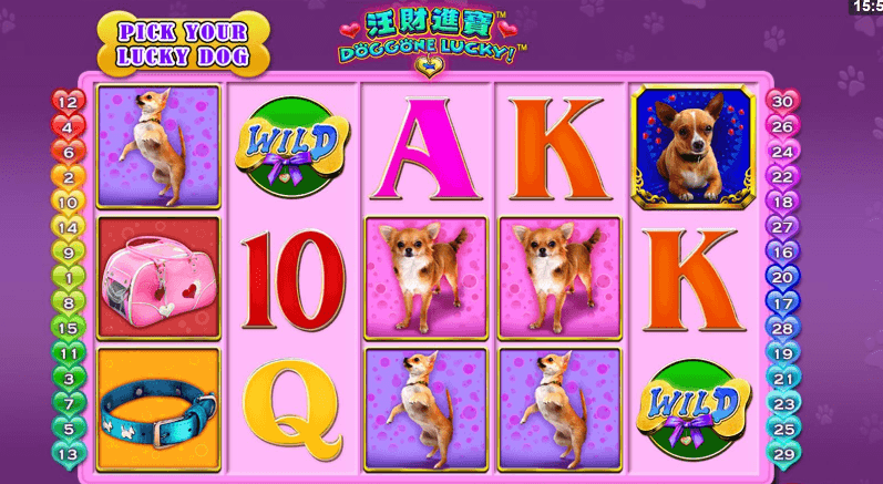 Doggone Lucky 遊戲畫面